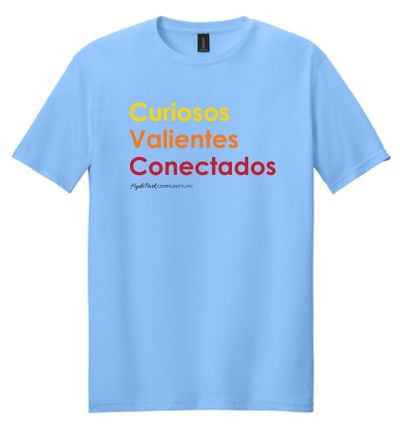 64000-Gildan Softstyle Tee, Carolina Blue